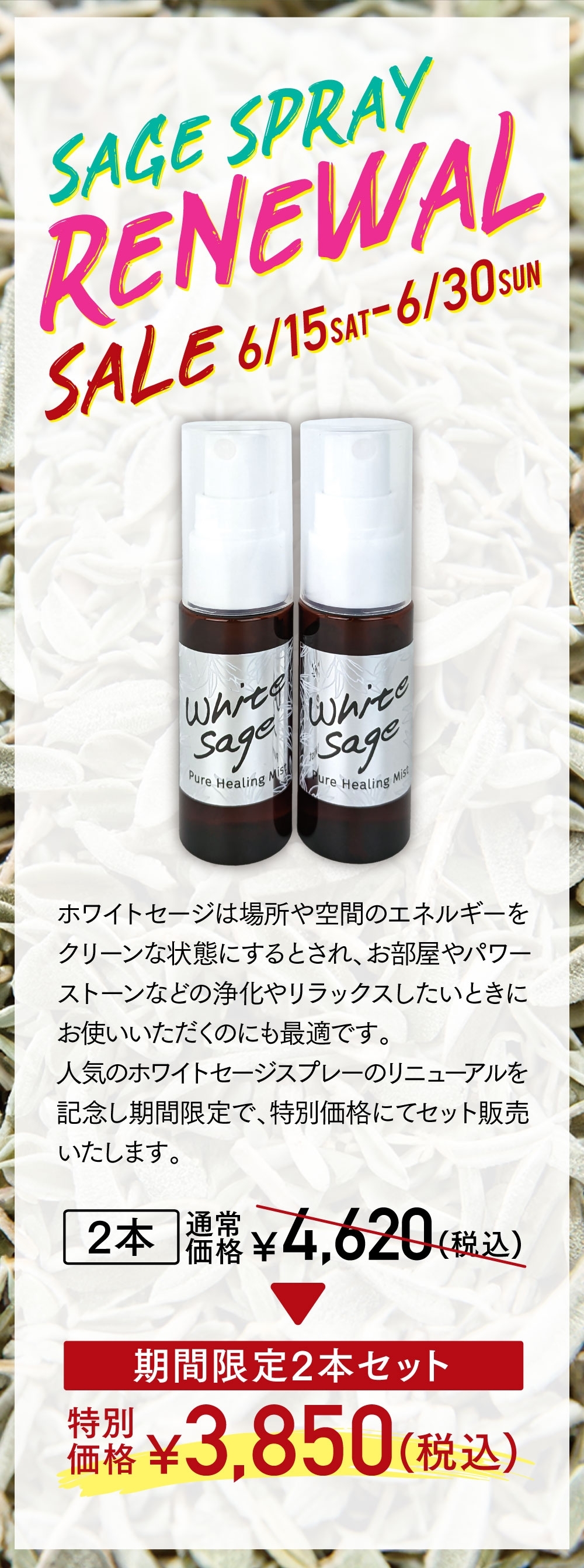 The Power Spotのイベント詳細