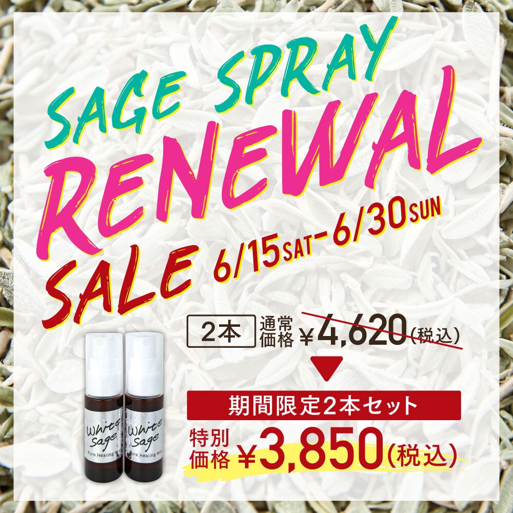 The Power Spotの新着情報一覧