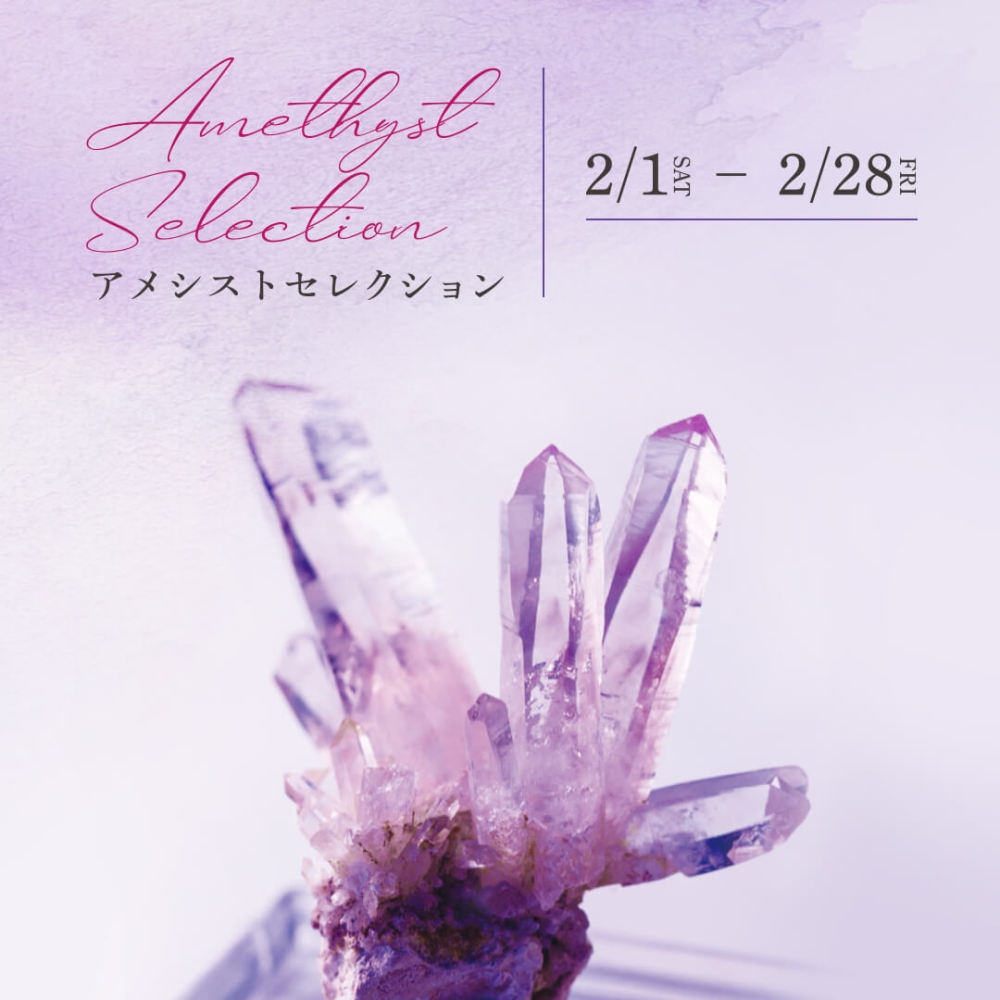 The Power Spotの新着情報一覧