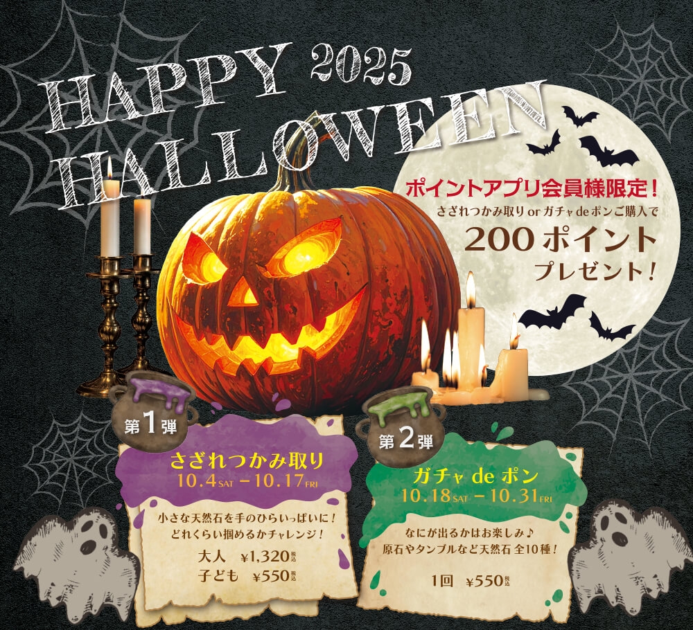 The Power Spotの新着情報一覧